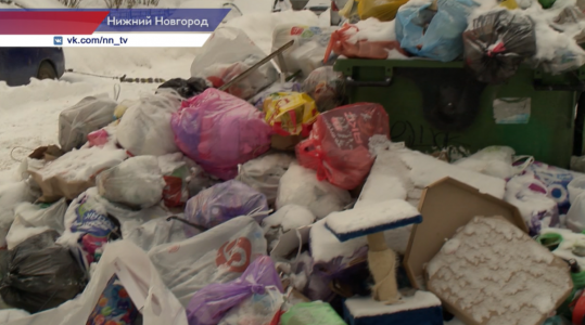 Ежедневно по Нижегородской области поступает около 30 обращений, связанных с невывозом мусора