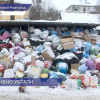 В Нижегородской области проходят рейды по проверке контейнерных площадок для мусора