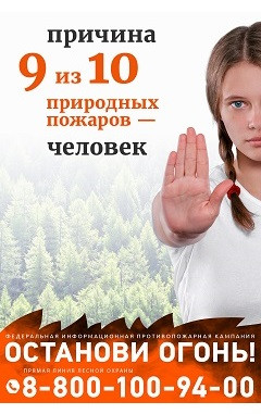 Единый портал по правовому просвещению и оказанию правовой помощи в Нижегородской области
