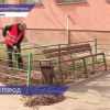 Месячник по благоустройству стартовал в Нижнем Новгороде