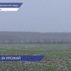 Аграрии Нижегородской области не считают снегопады большой угрозой для посевов