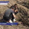 Специалисты Россельхознадзора и представители местной администрации ознакомились с несанкционированной свалкой у посёлка Лисьи Ямки