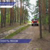 Свыше 150 километров минерализованных полос установили в Сормовском и Московском районах Нижнего Новгорода