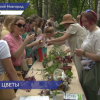 В Нижнем Новгороде прошел экологический фестиваль «Круговорот цветов»