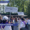 Четверо нижегородцев стали победителями финала Всероссийской олимпиады школьников