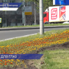 Около 45 тысяч цветов планируют высадить в Ленинском районе Нижнего Новгорода