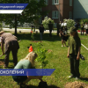 Ученики школы № 8 посёлка Новосмолинского посадили деревья для Аллеи памяти