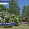 XIX Международный фестиваль «Демидовская сирень» прошёл в селе Быковка