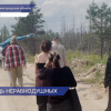 Тридцать эковолонтеров отправились в Володарский округ, чтобы высадить молодые сосны