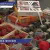 Итоги конкурса «Предприниматель года» подвели в Нижнем Новгороде