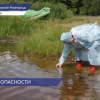 Роспотребнадзор рекомендовал выбирать для купания только благоустроенные пляжи