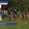 Свыше 350 спортсменов приняли участие в Чемпионате России и Всероссийских соревнованиях по спортивному ориентированию в велокроссовых дисциплинах