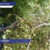 Последствия непогоды устраняют на Бору