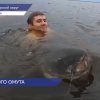 Борские рыбаки поймали на Волге сома-гиганта