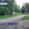 Нижегородка Арина Степашина получила травму после поездки в конный клуб в Кстовском районе