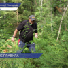 Сотрудники Роспотребнадзора напоминают, как правильно вести себя при походе в лес за грибами