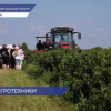 Летняя школа «Погружение в АгроТех» в Нижегородской области подошла к концу