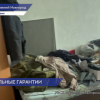 Фирму, которая по поддельным документам ввозила нелегалов, прикрыли в Нижегородской области