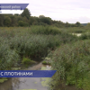 Вода топит дороги и низины в Кстовском районе из-за бобровых плотин