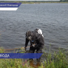 Нижегородские водолазы начали работы по очистке водозаборных оголовков на дне Волги