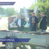 Общегородской субботник организовали на Бору для наведения порядка на контейнерных площадках