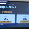 Вакцинация против сезонного гриппа началась в Нижегородской области