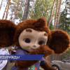16 детских домов, интернатов и подростковых центров собрались на «Чебуриаду-2026»