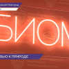 150 школ Нижегородской области присоединятся к просветительскому проекту «БИОМ»