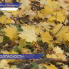 Утренний фильтр применяют в образовательных учреждениях Нижегородской области